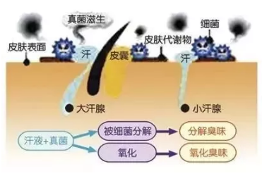 1636970494823628.png image.png