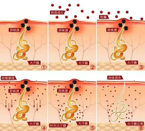 1636971560431608.png image.png