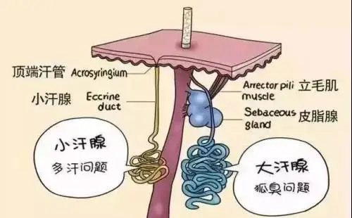 1637027804124112.png image.png