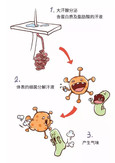 1637113488847726.png image.png