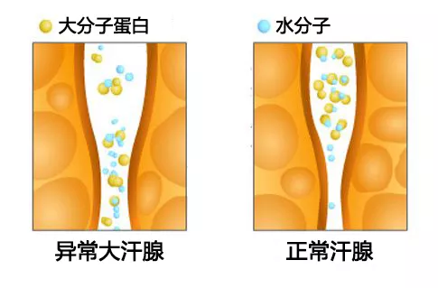 1637137918948635.png image.png