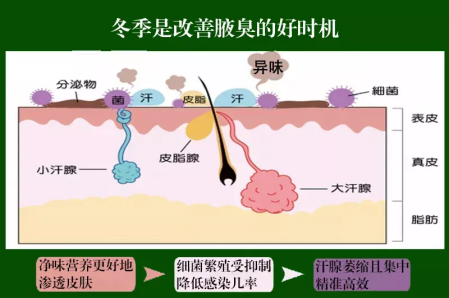 1639531814103620.png image.png