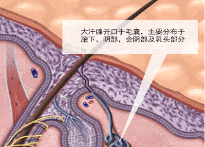 1639645281740361.gif 640.gif