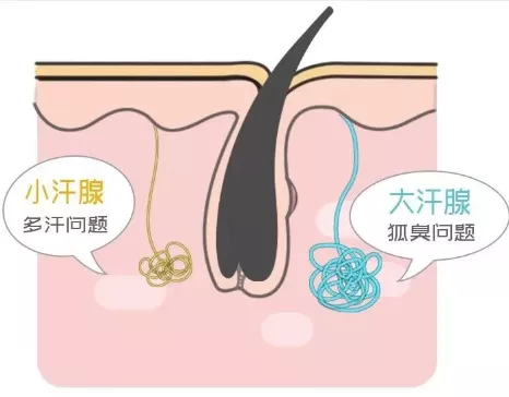 1639725152556573.png image.png