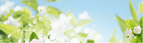 1639729132114985.png image.png