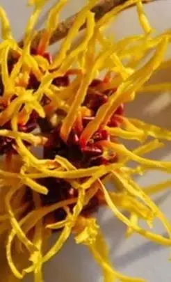 1643092622528559.png image.png