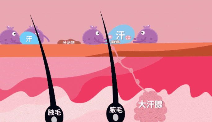 1660728157621551.gif 原理1.gif