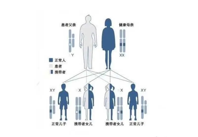 1660728249616688.jpg src=http___bdn.135editor.com_files_users_492_4924994_201807_bUMsUCfM_2mds.png&refer=http___bdn.135editor.webp.jpg