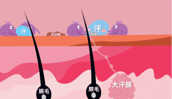 1691463047104506.png image.png