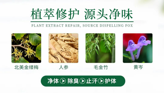 1701054264703053.jpg 1701054246853.jpg