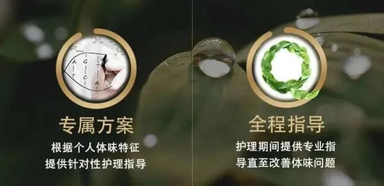 1701056532946182.png image.png