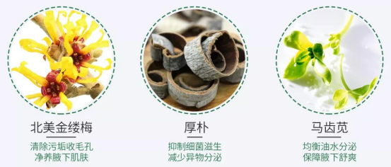 1701056559133303.png image.png